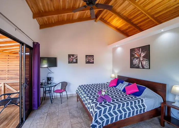 Hotel Casa Buenavista - Adults Only